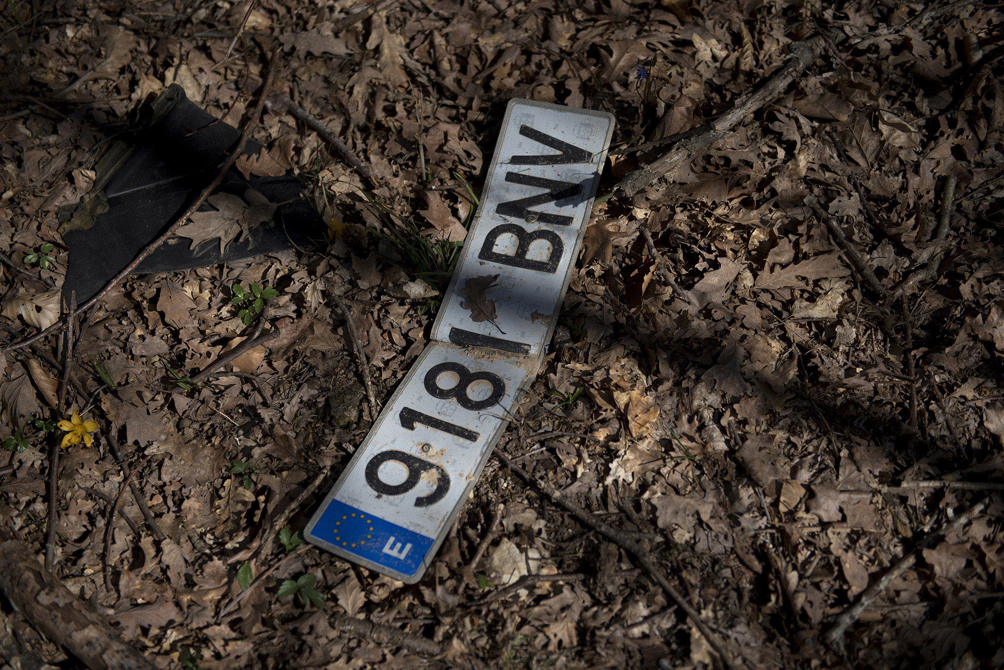 1584304376823-AAV_1076
