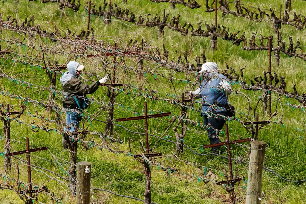 We Talked to ‘Essential’ Farmworkers About What It’s Like for Them During the Coronavirus Outbreak