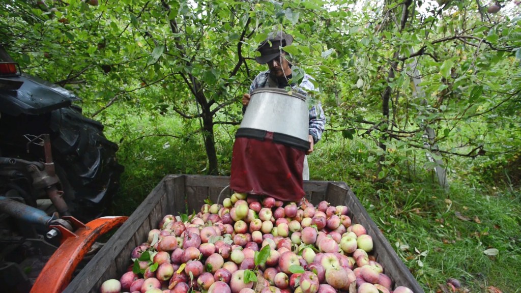 American Farmers Are Panicking Because Coronavirus Is Holding Up Worker Visas
