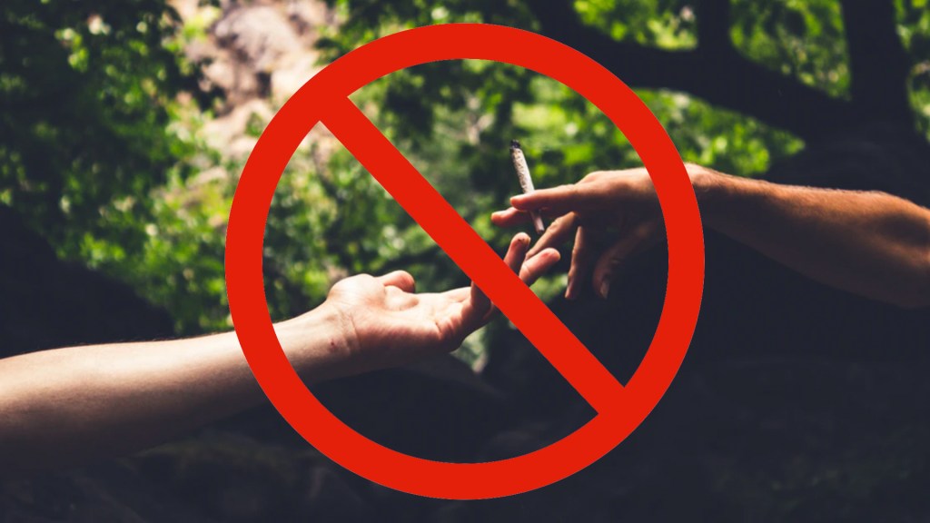 Why the Lockdown Is a Great Time to Take a Cannabis ‘Tolerance Break’