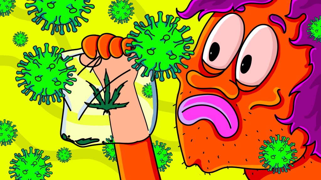 Coronavirus 420