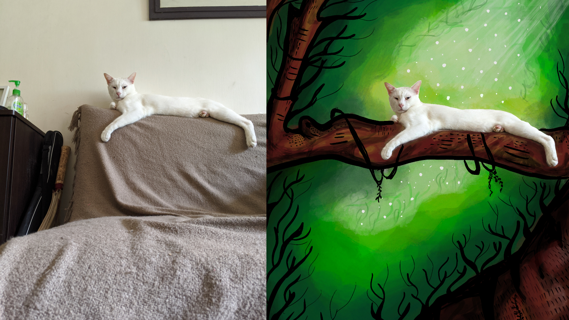 1587624290904-cat