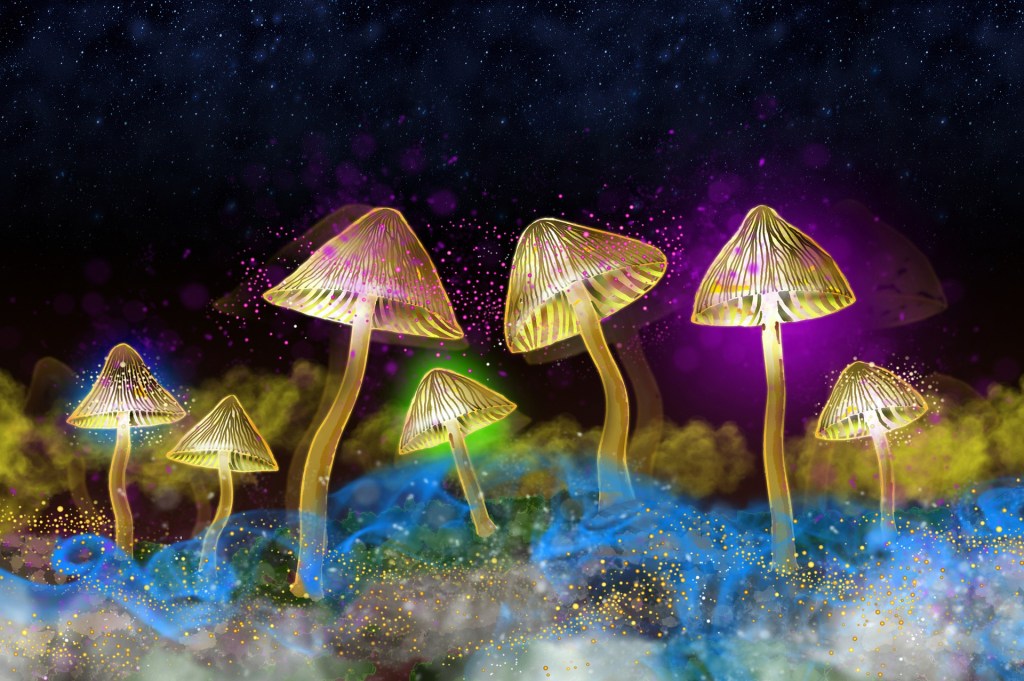 We Asked Experts How Risky It Is to Self-Medicate With Mushrooms