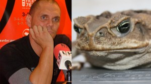nacho vidal detenido homicidio imprudente ritual chamanico sapo bufo