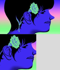 illustration oeillet vert