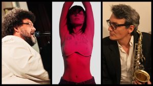muzicieni, ajutor muzicieni, irina rimes, muzicieni independenti