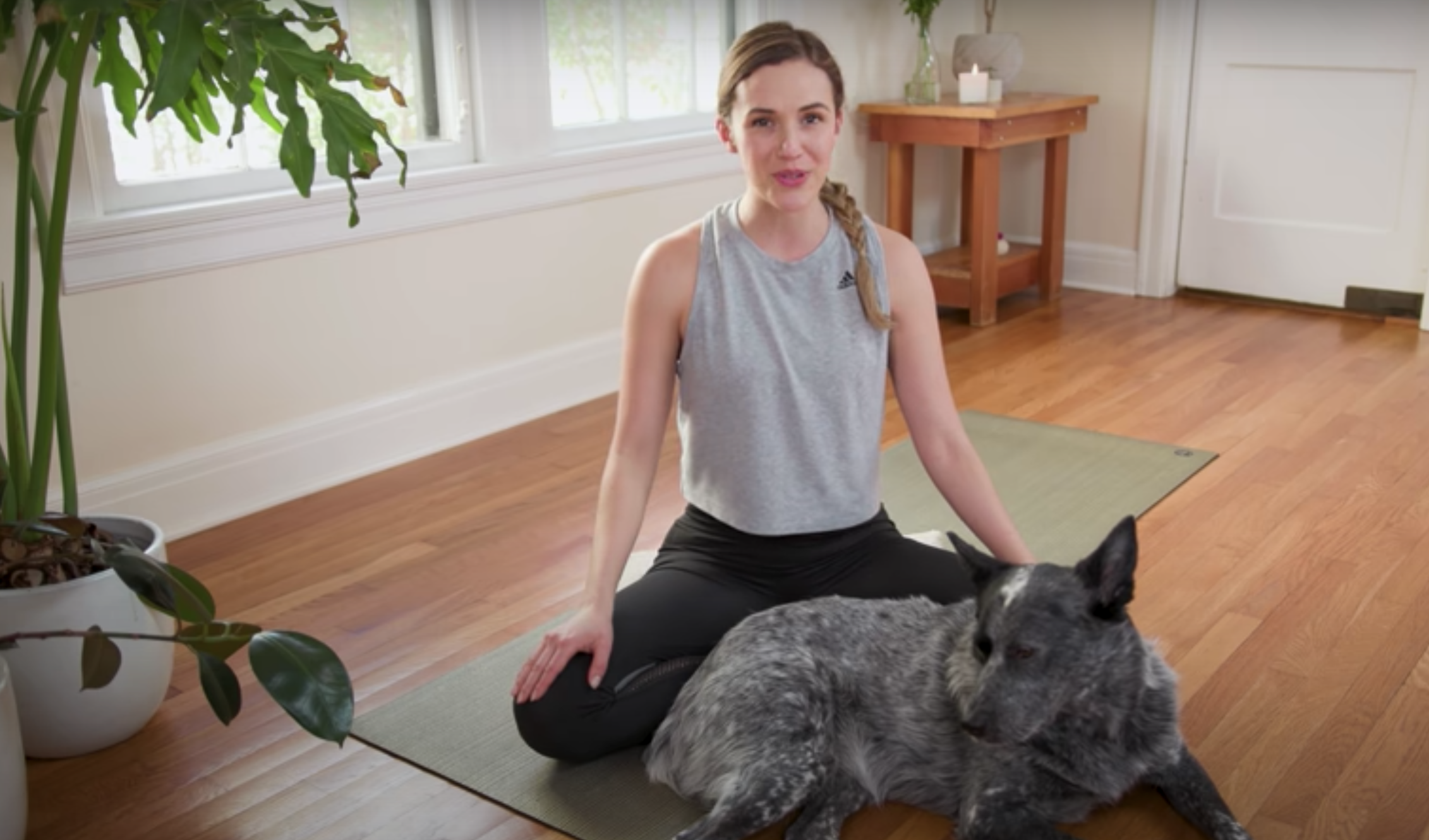 Yoga with Adriene dog VICE