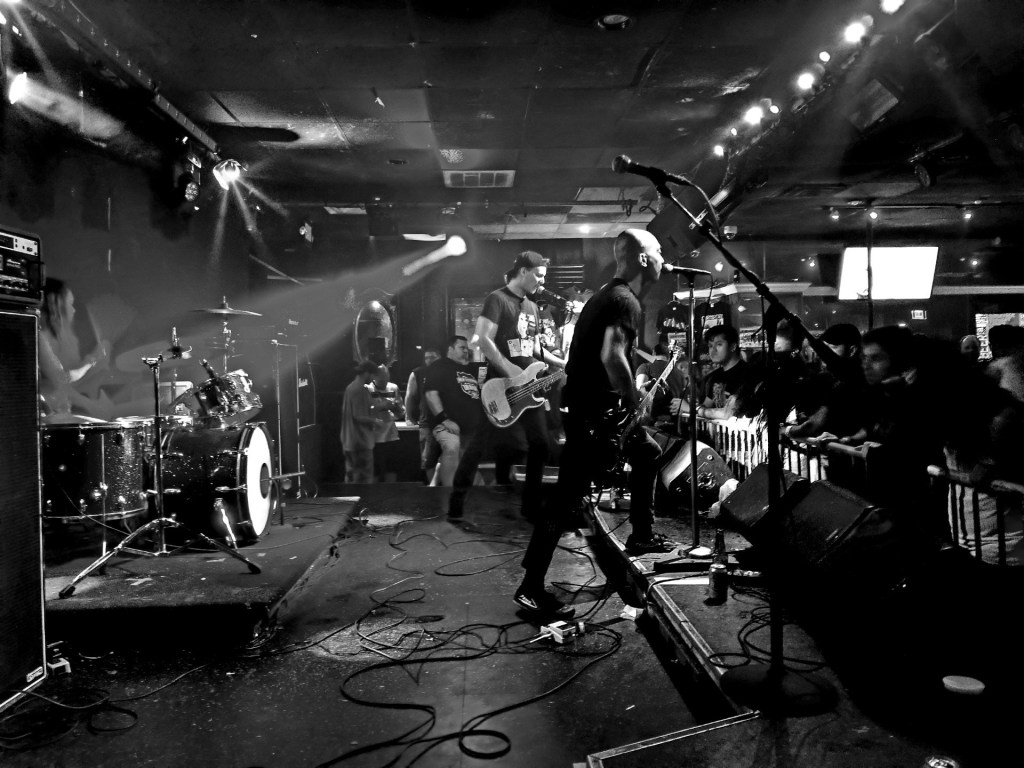 New York Punks Are Running for Office
