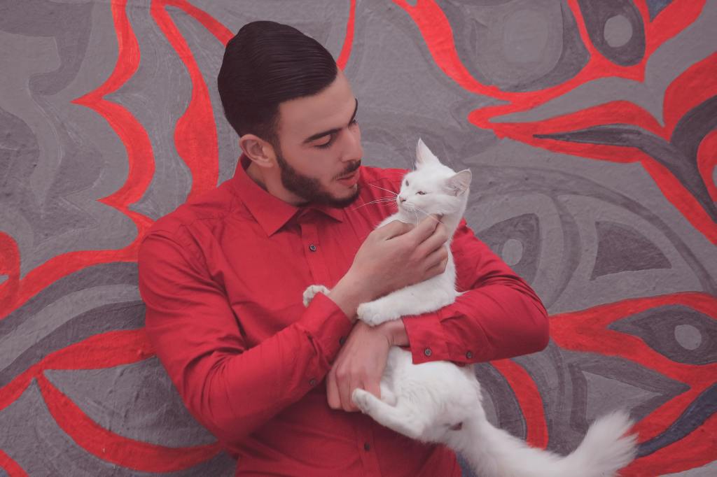 Tražite ljubav? Uklonite fotografiju sa mačkom sa dejting aplikacija