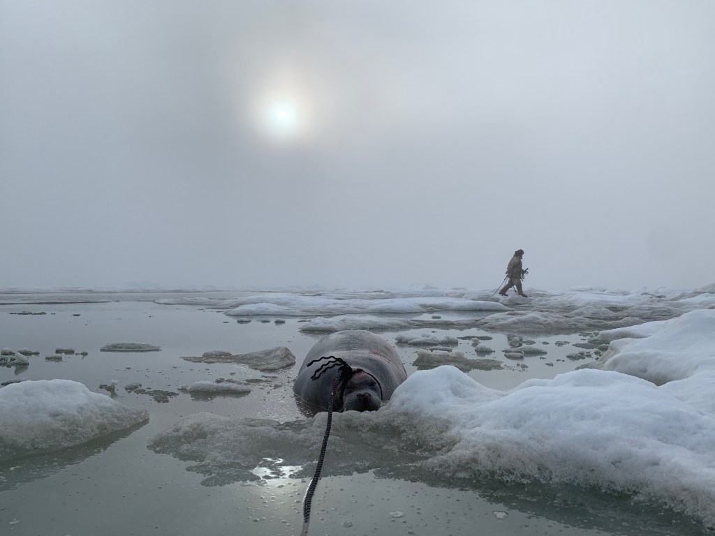 Climate Change Has Forced Indigenous Peoples in This Alaskan City to Pay $99 for a Turkey