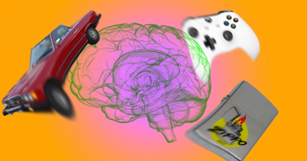 My brain