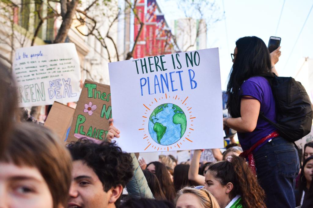 Environmental Websites Leading The Movement Against India’s Controversial New Proposal Are Blocked