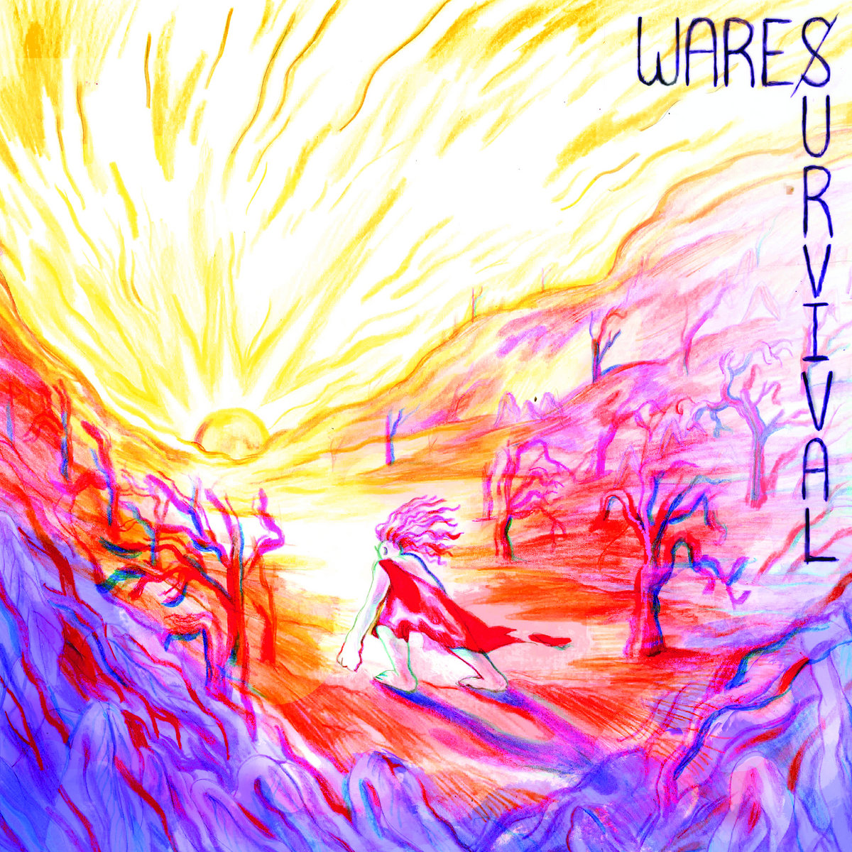 1594757346543-Wares-Survival
