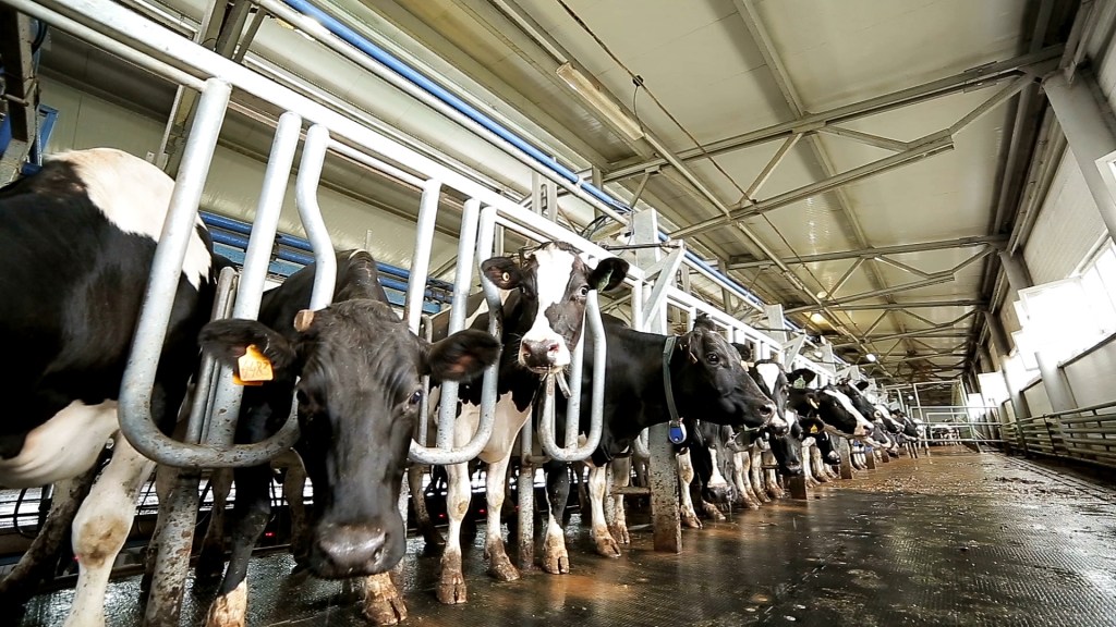 Got Milk? Probably Not, But You’re Paying For It Anyway.