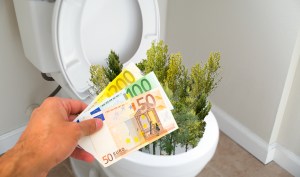 paduri, mediu, romania, fonduri ue, defrisari