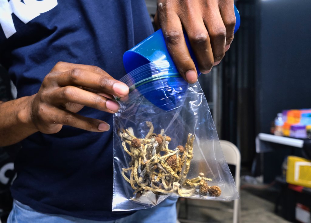 After Legal Win, What’s Next for Magic Mushrooms?