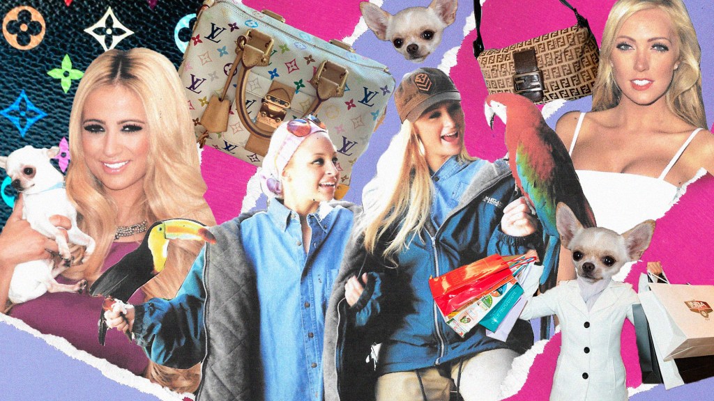Where Did All the ‘Dumb Blondes’ Go?