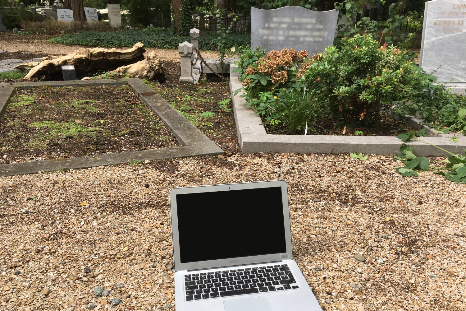 The cemetary