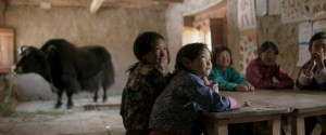 Bhutan, Oscars, Film, Yak