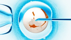 A cracked egg sits against a blue background.