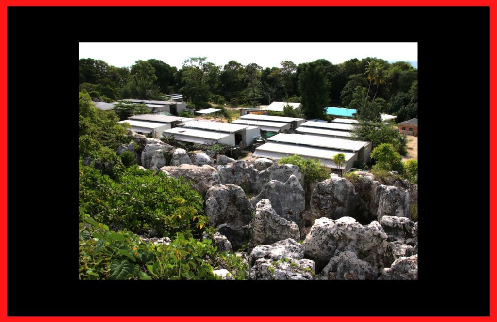 Life After 4 Years of Detention Hell on Nauru