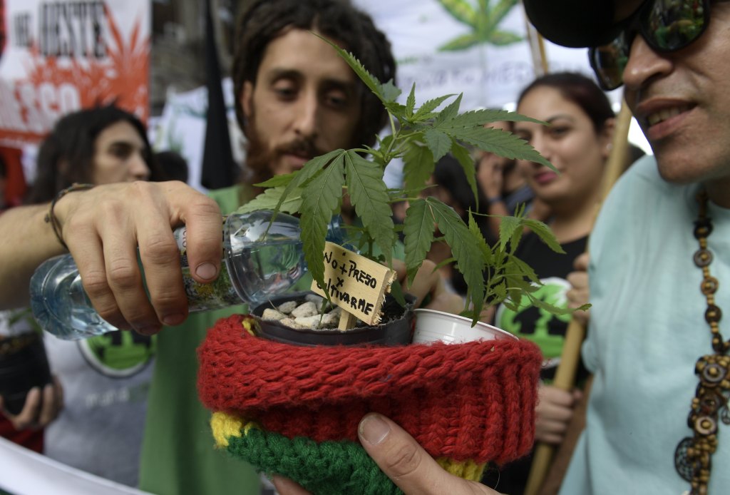 Free Medical Marijuana Will Be Available to the Uninsured in Argentina