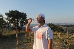 Vini naturali calabria menat