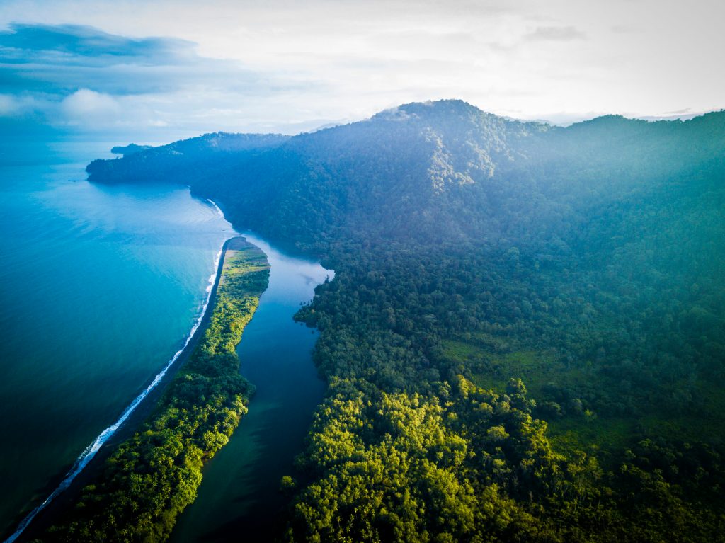 ‘Expedición Tribugá’: este documental muestra el valor de la biodiversidad