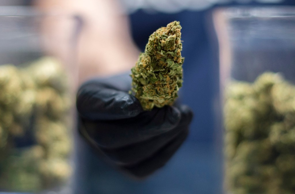 El cannabis es oficialmente medicinal, tras histórica votación de la ONU