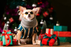 cosa NON regalare per natale