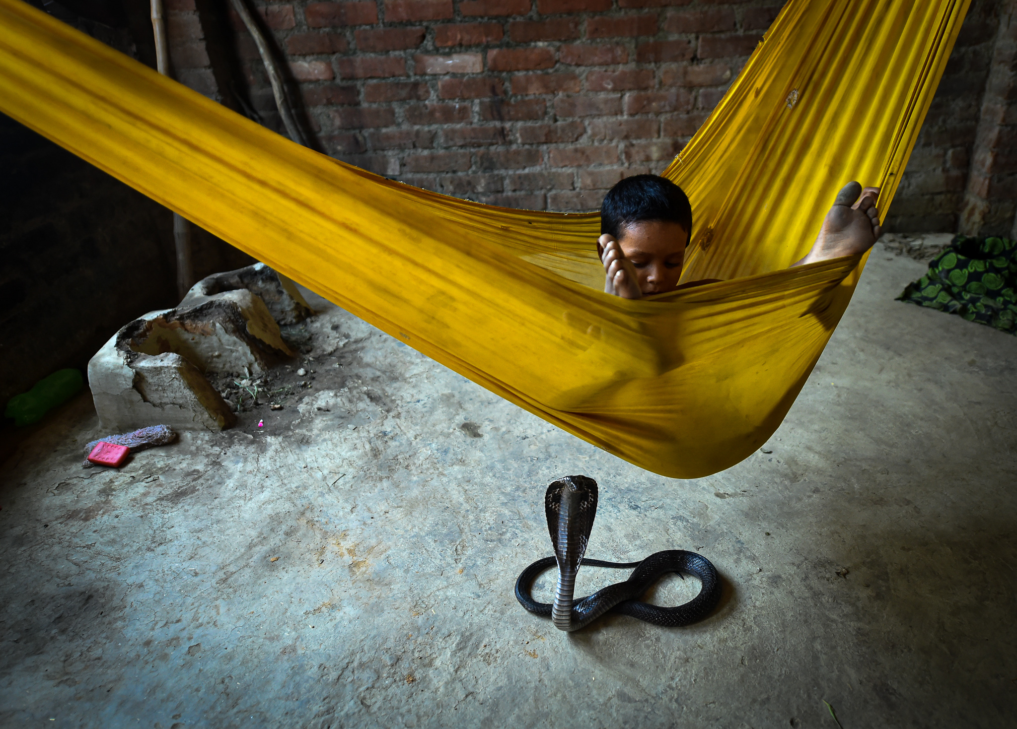 Anak kecil hidup berdampingan dengan ular sudah menjadi pemandangan sehari-hari komunitas pawang ular di India. Foto oleh Arun Sharma.