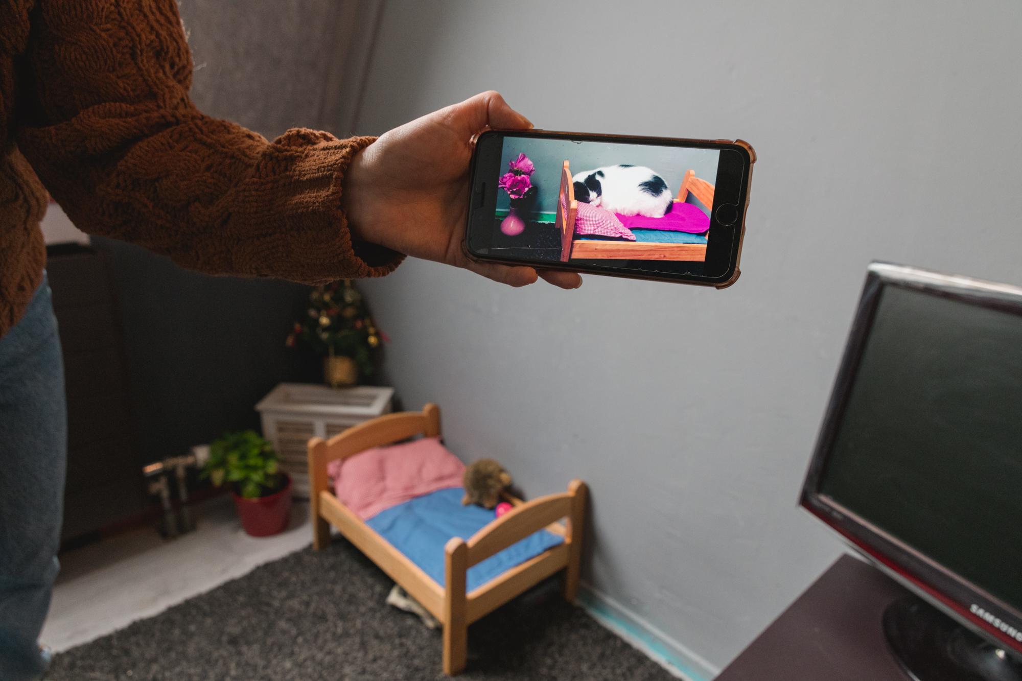 Auf einem Handy wird ein Bild von einer Katze gezeigt, die in einem Puppenbett schläft
