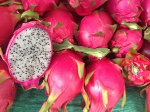 buah naga