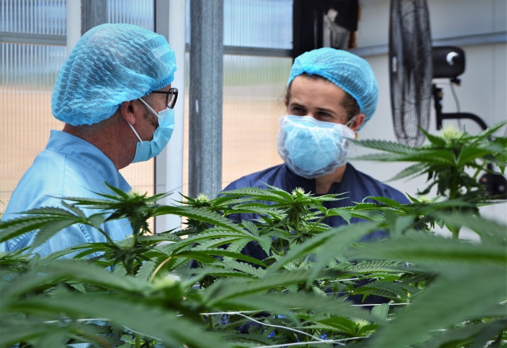 Inside One of Australia’s Biggest Legal Weed Farms