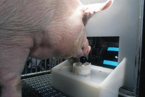 ​Image: Eston Martz/ Pennsylvania State University