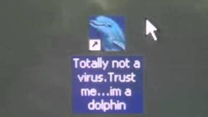 dolphin virus.jpg