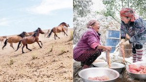 Viande de cheval