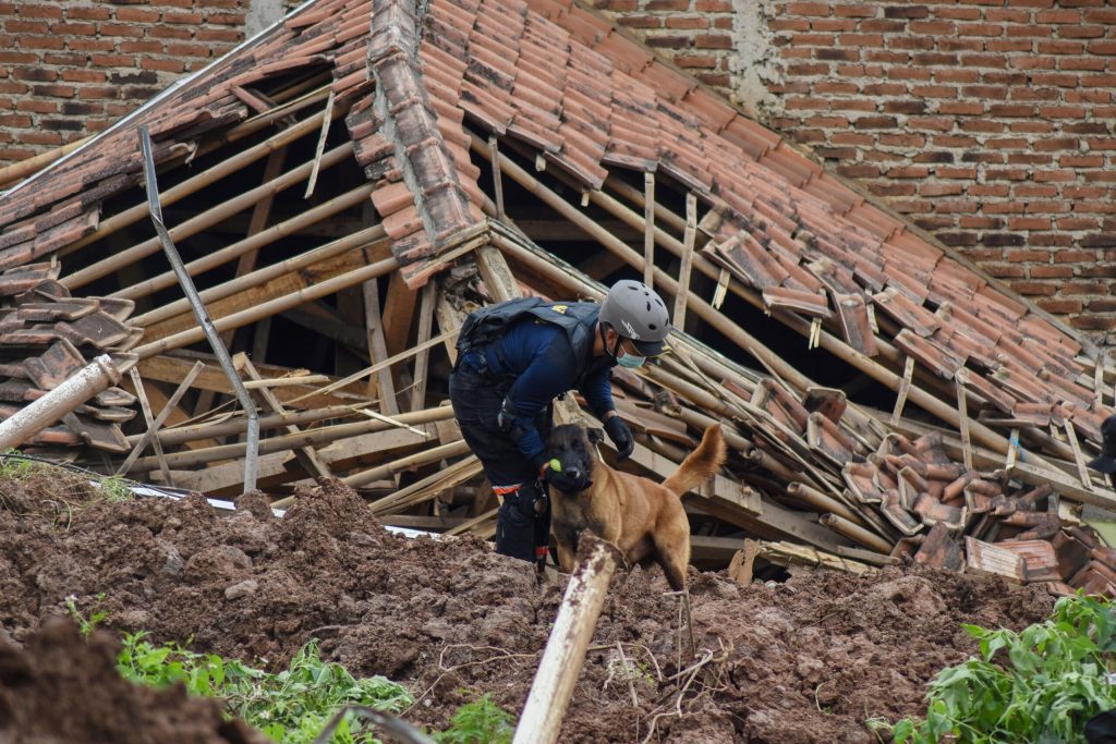 Ngobrol bareng Relawan Soal Taktik Selamatkan Binatang Saat Bencana