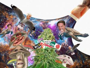 Drugs en politiek