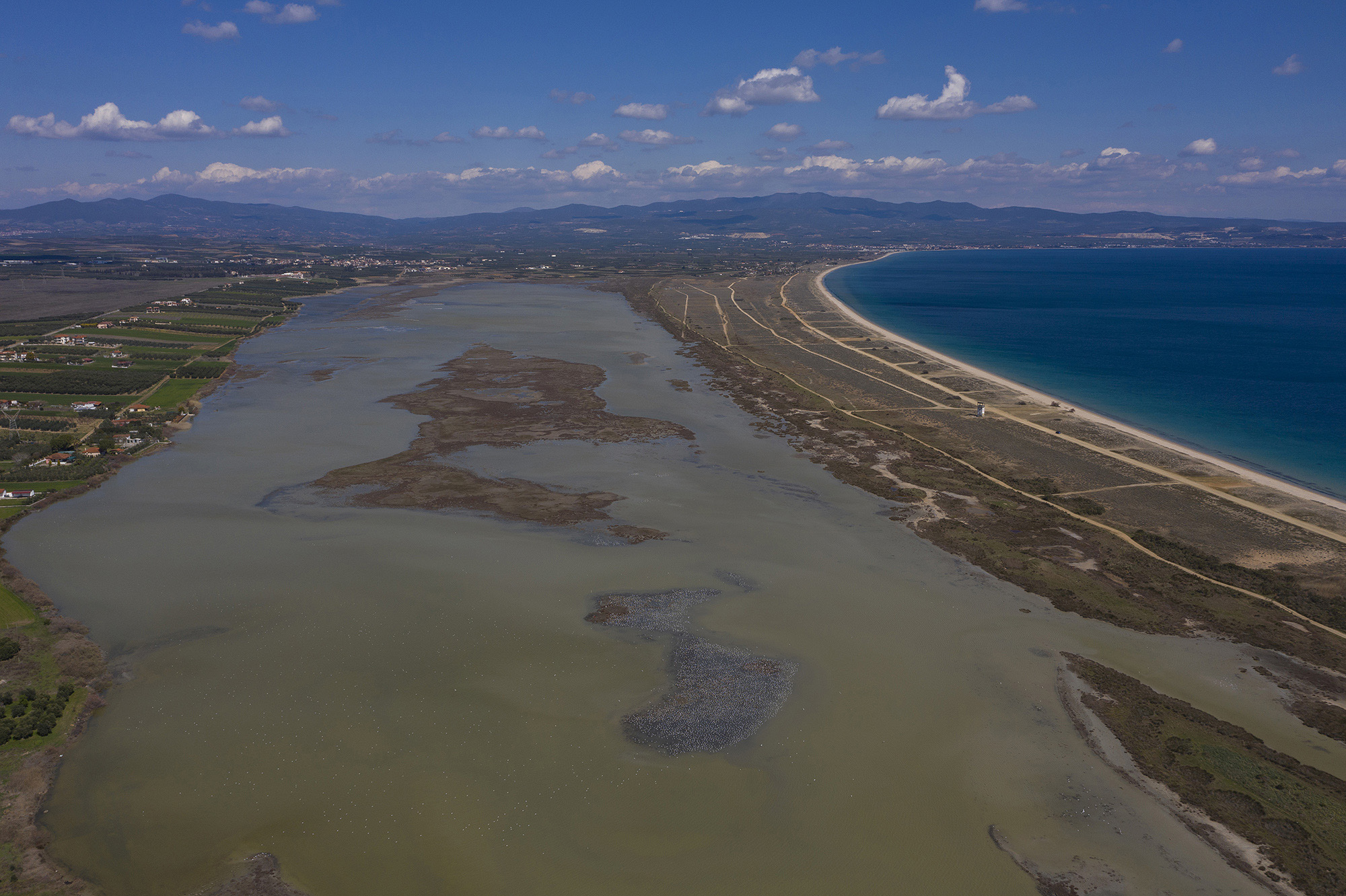 DJI_0973.jpg