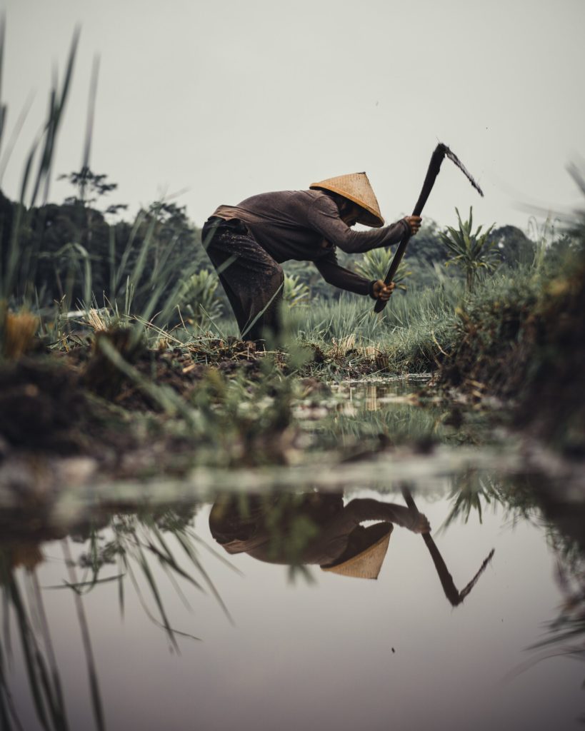 Bappenas sebut Indonesia Terancam Tak Lagi Punya Petani Pada 2063