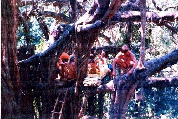 Nackte Menschen sitzen auf einem großen Baum