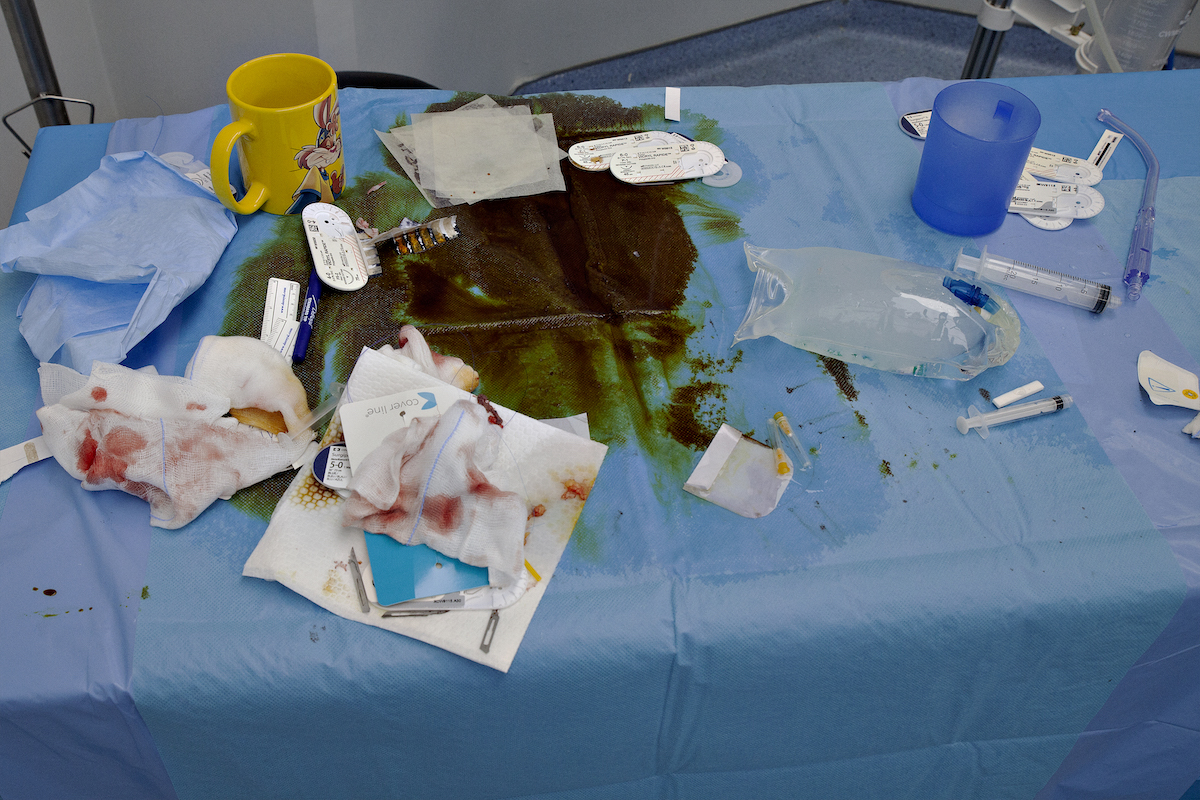 IMG_1272-Recovered.jpg
