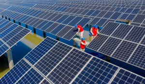 Black workers are grossly underrepresented in clean energy businesses, only representing 8 percent of the workforce at solar companies