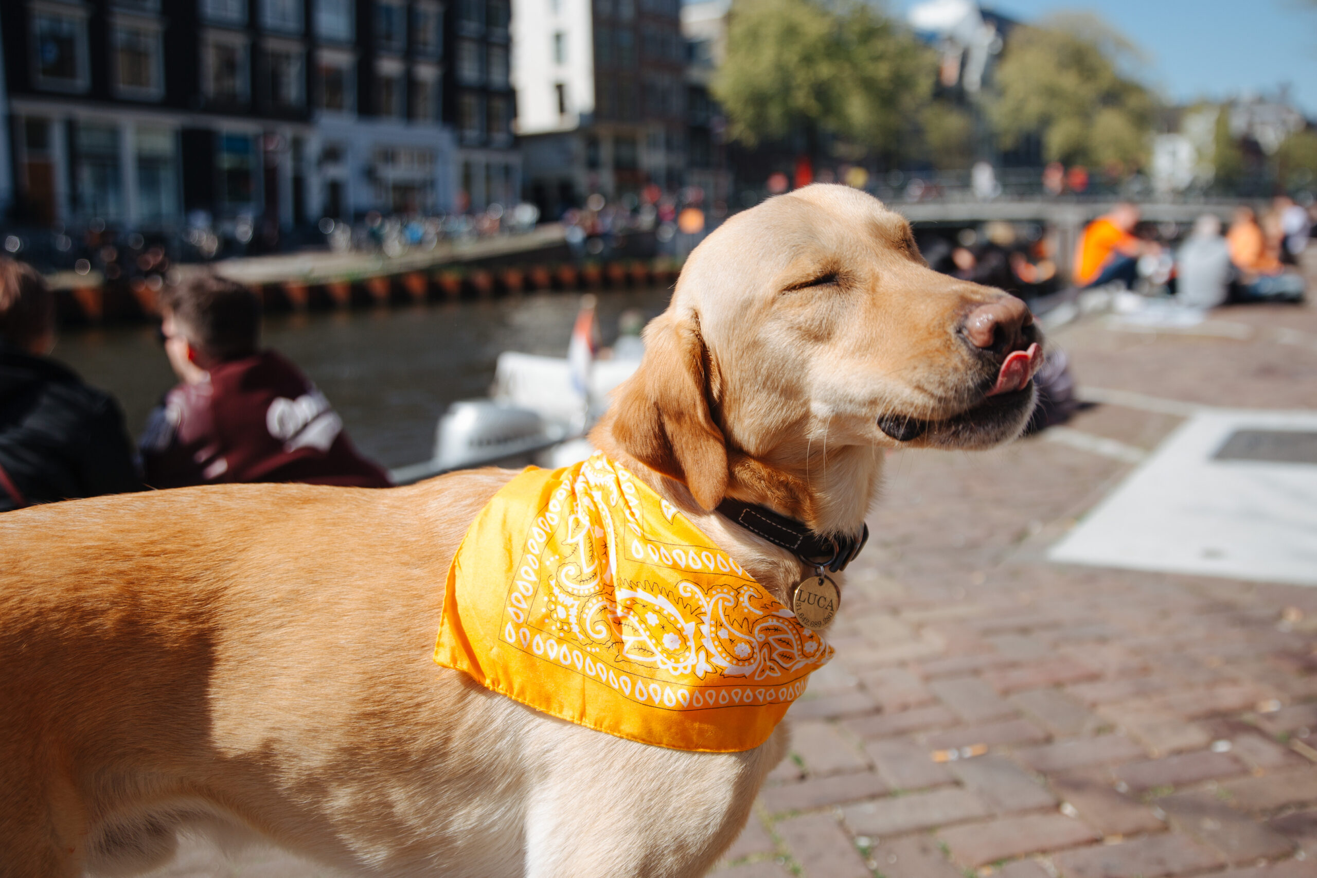 koningsdag---2021-04-27-15-33-16---0082.jpg