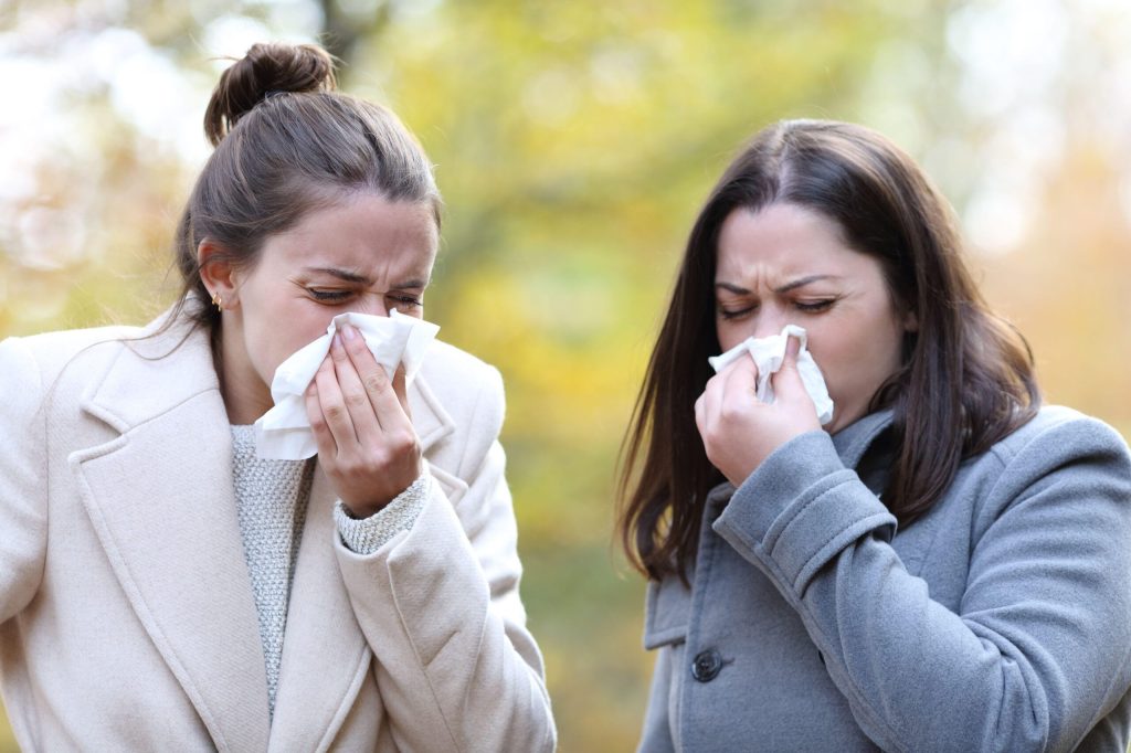 Le allergie da polline stanno peggiorando, ed è colpa nostra