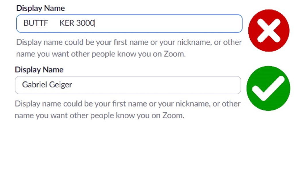 Zoom display name changer.