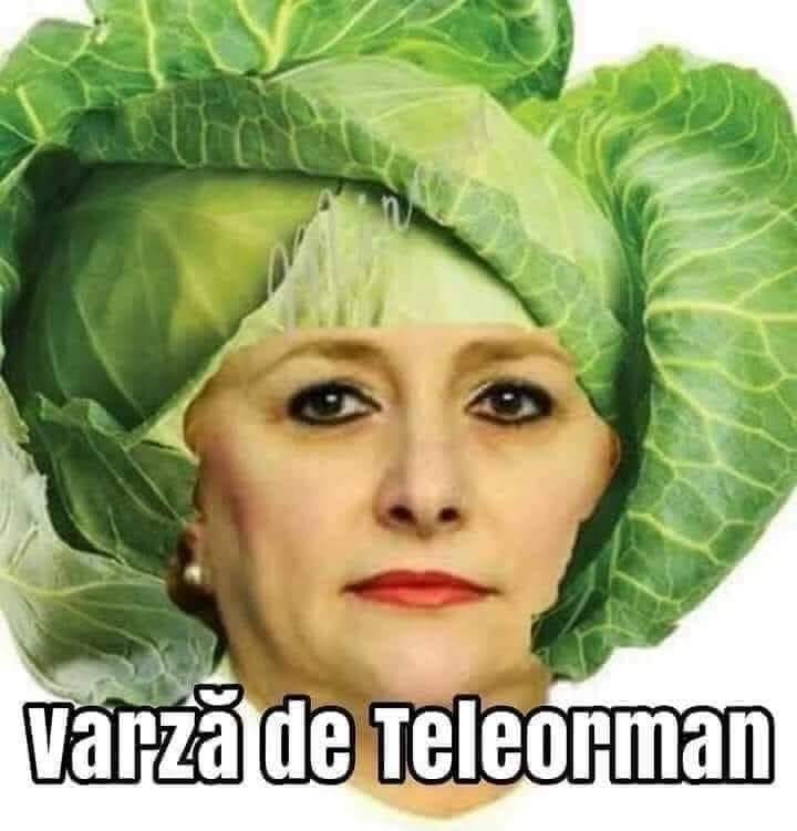 meme Dancila