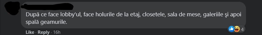 meme Dancila