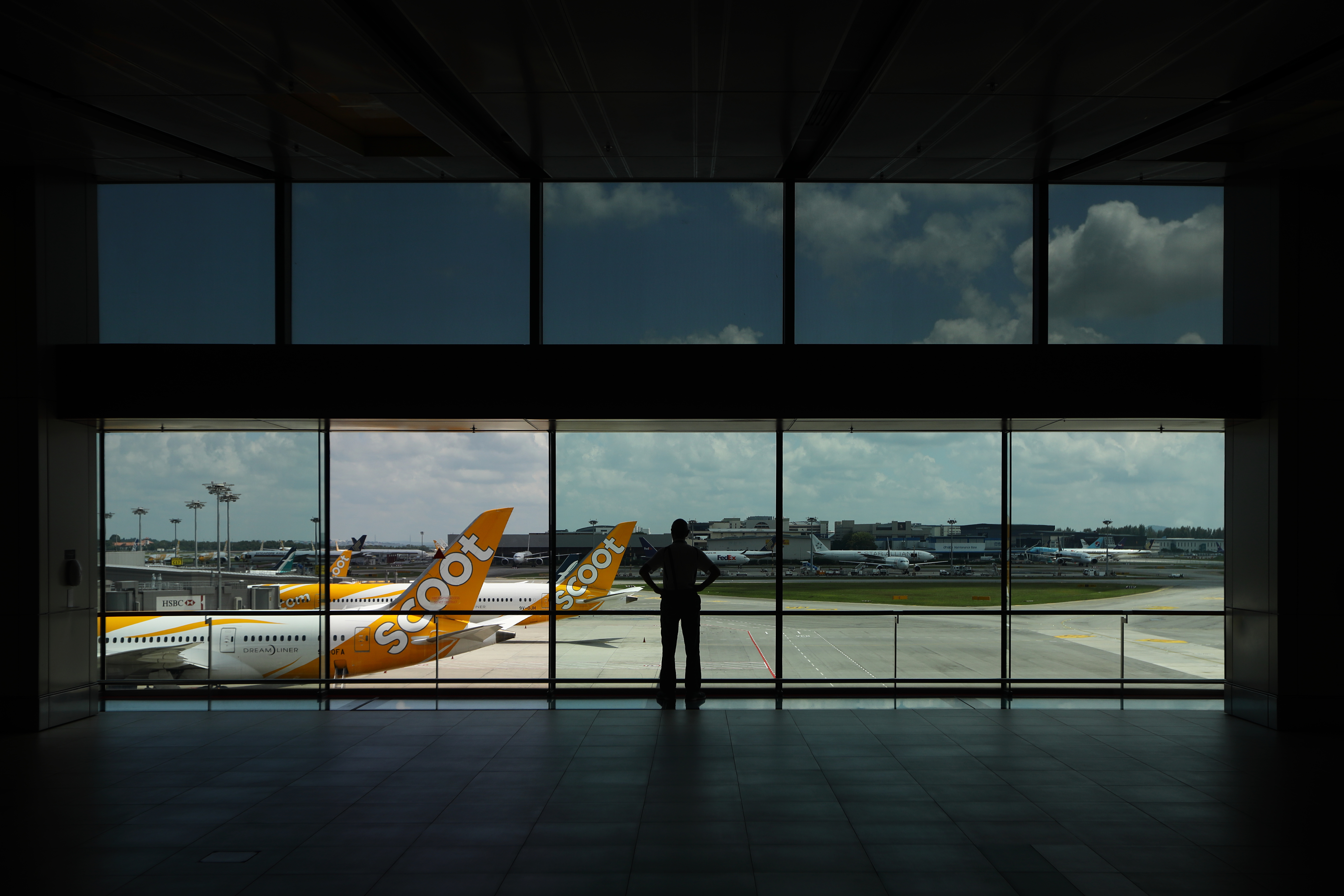A man looks at Scoot aircrafts sitting on the tarmac at Changi Airport